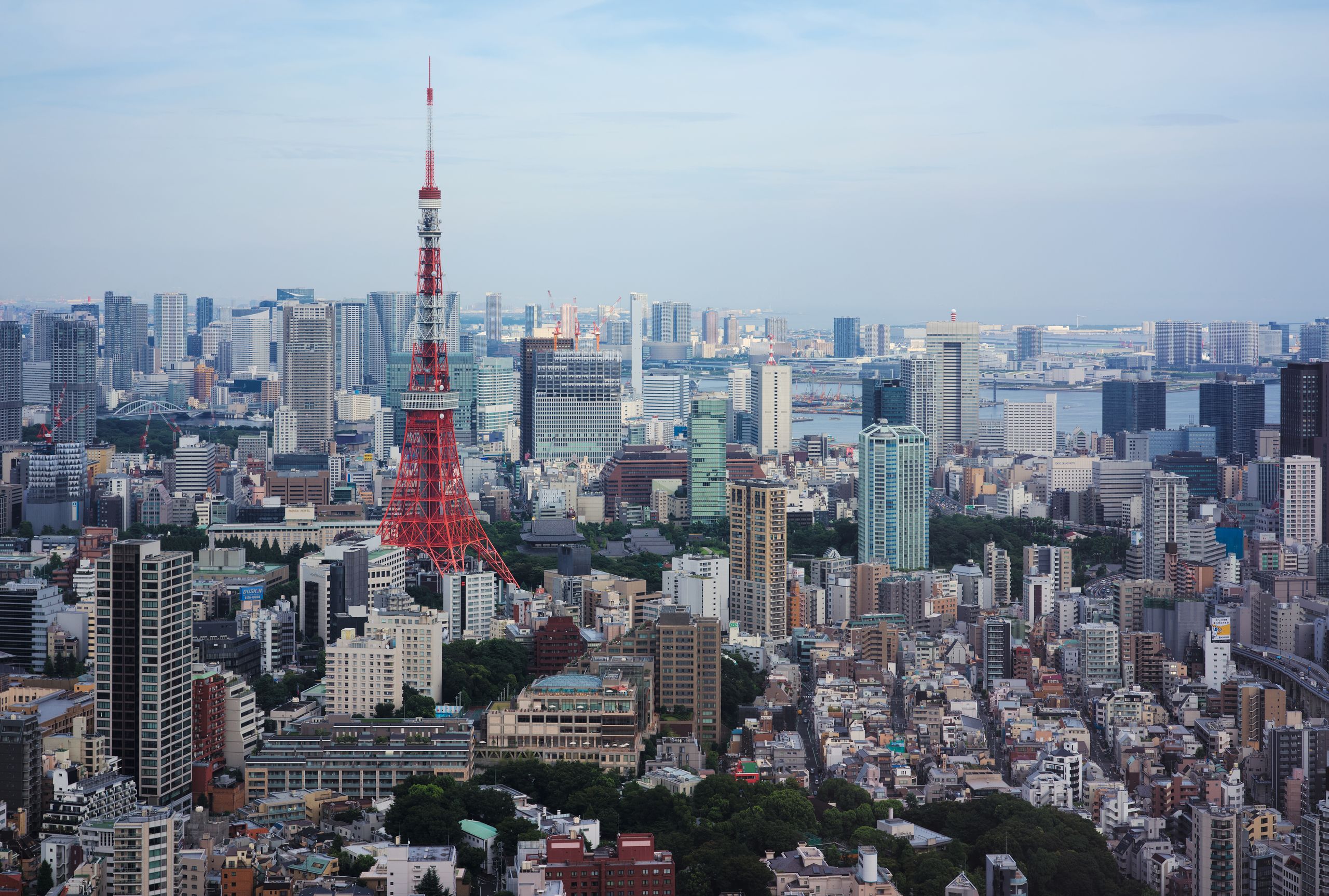 日本拠点・東京での就労＆定着支援